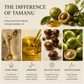 TREEANNSEA Madagascar Tamanu Olio originale 30ml 