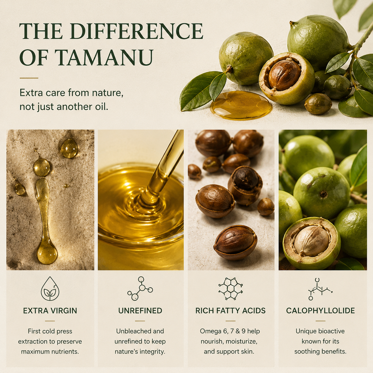 TREEANNSEA Madagascar Tamanu Olio originale 30ml 