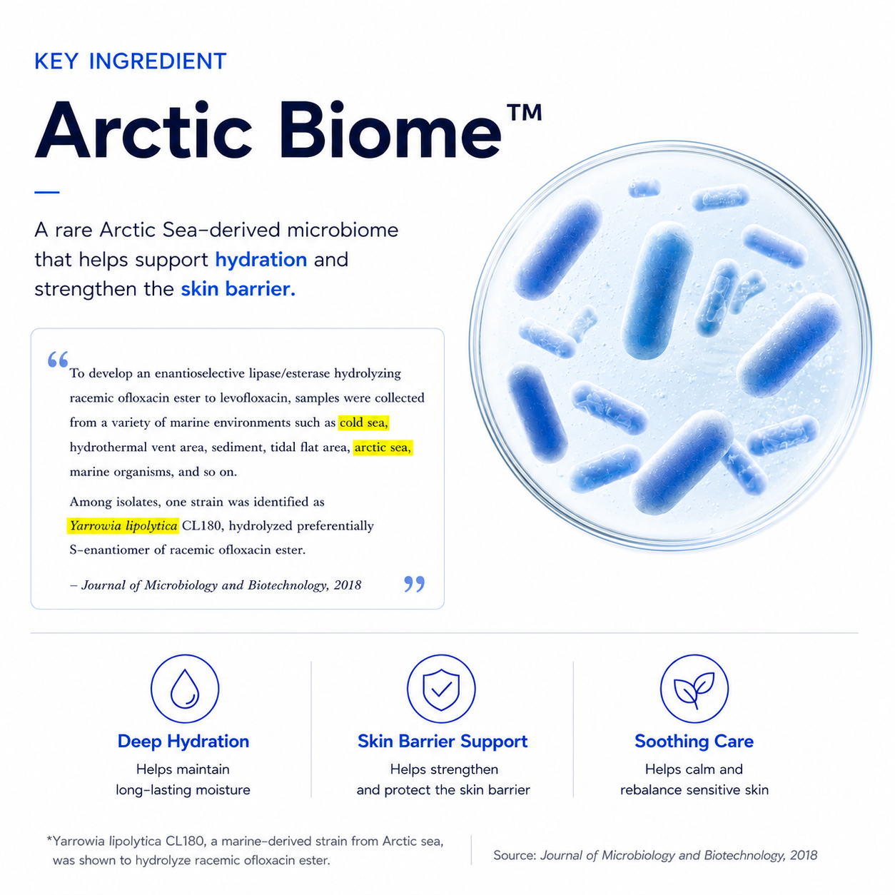 🆕TREEANNSEA Arctic Biome Siero all'acido ialuronico 50 ml