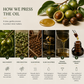 TREEANNSEA Madagascar Tamanu Olio originale 30ml 