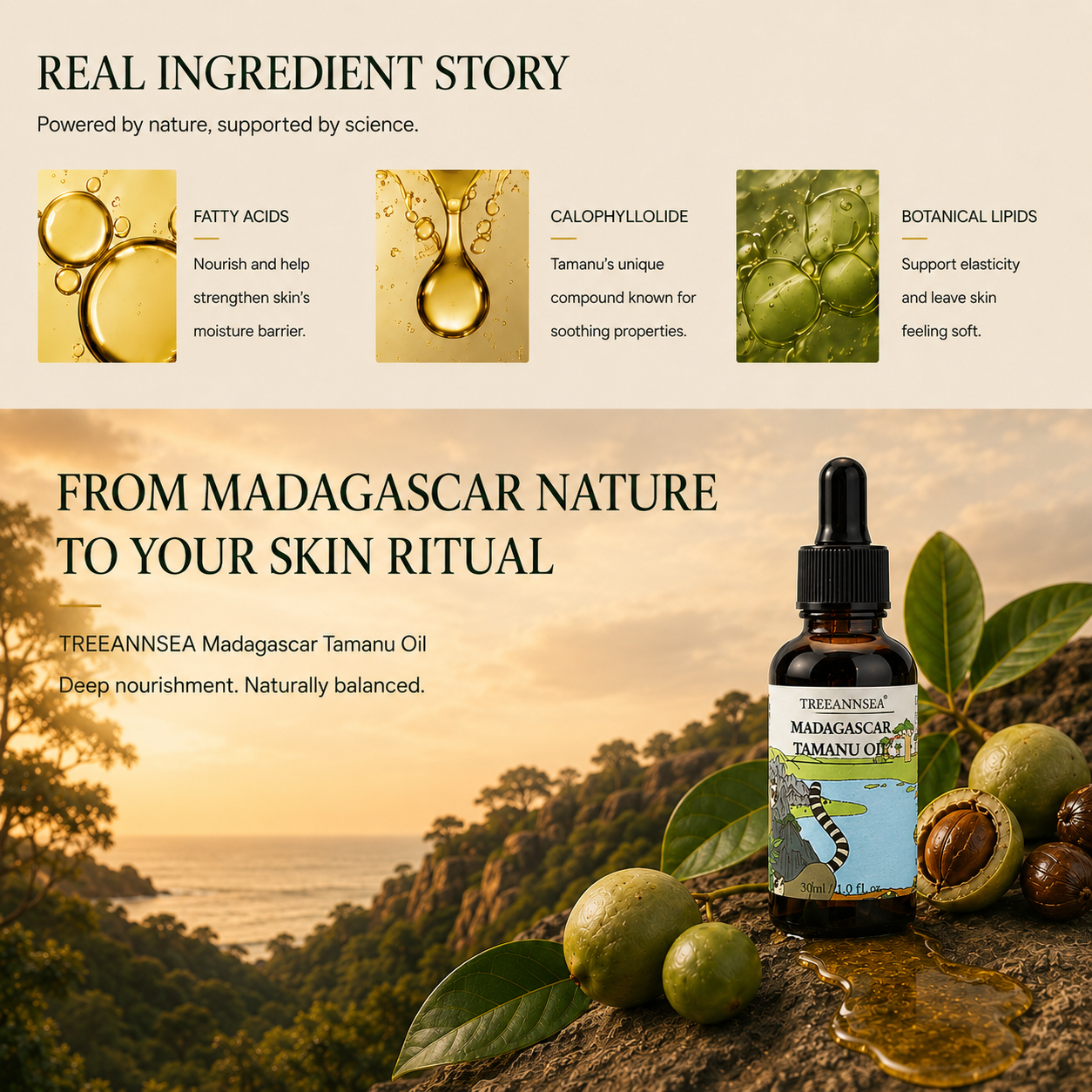 TREEANNSEA Madagascar Tamanu Olio originale 30ml 